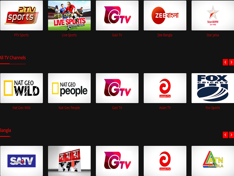 portfolio
